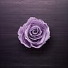 Lilac Rose