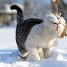 Some Programming Stories by DreamRunner