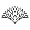 Wake Network