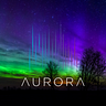 Aurora Ventures