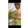 Lakshmi
