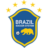 Brazil Soccer System