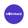 Dogyrace