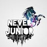 never junior hacker