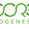 Core Biogenesis