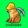 DOGEMINER