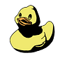 Rubbery Duck