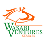 Wasabi Ventures Stables