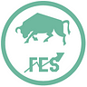 FES NSUT