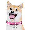 DogeGF