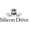 Silicon Drive