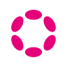 Polkadot Network