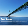 For Awe