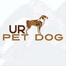UR Pet Dog