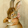 Bambi Bunnicula Medium Writer - @bambibunnicula Profile image