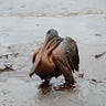 Louisiana Uncovered