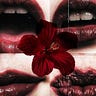iris ୨୧