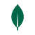 MongoDB