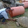Juwon Ismaila