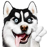 HuskySwap