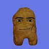Nugget iOS