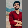 Malik Amir Hamza