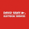 David Gray Electric