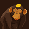 Chimp Money