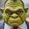 The Opinionated Ogre