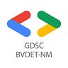 GDSC BVP DET Navi Mumbai