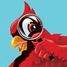 Cards Mag-nified