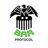 Brr Protocol