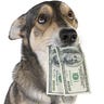 Passive Income AI