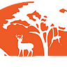 The Grand Indian Route Medium Writer - @thegrandindianroute Profile image