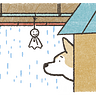 qbane
