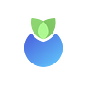 Blueberry & Bloom Protocols