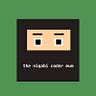 the niqabi coder mum