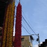 Olina Kundu