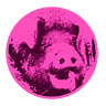 SwineGuild