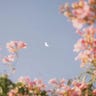 Moonside.Inc