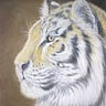 Wildlife Art Blog by Deidra Smith
