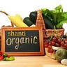 shanti organic patel