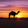 Sub-Saharan Innovators