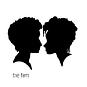 The Fem