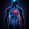 The Medical Narrator
