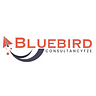 Bluebirdconsultancyfze