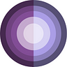 FinSight Ventures