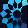 Blue Aster Capital