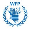 WFP Italia Medium Writer - @wfp-it Profile image