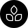 Thrive Protocol